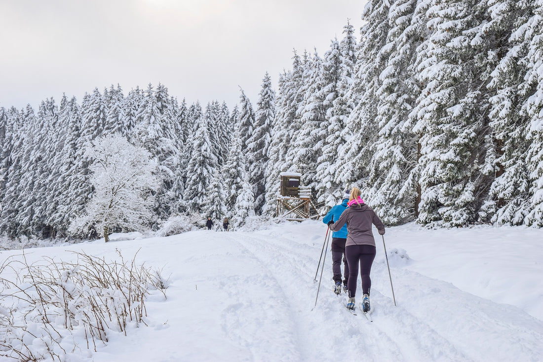 Cross Country Skiing: A Fun and Healthy Winter Activity