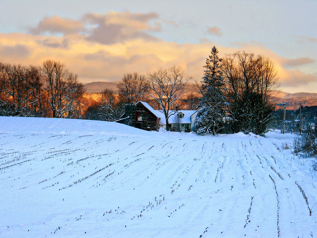 Traveling to the Northeast in Winter: Tips for Staying Warm and Comfortable and Having Fun